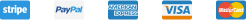 payment icons