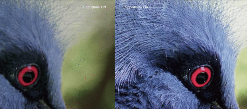 16 high contrast ratio
